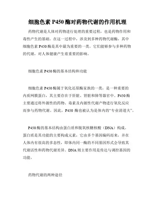 细胞色素P450酶对药物代谢的作用机理