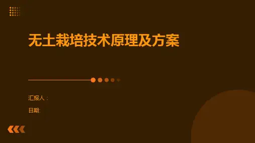 无土栽培技术原理及方案