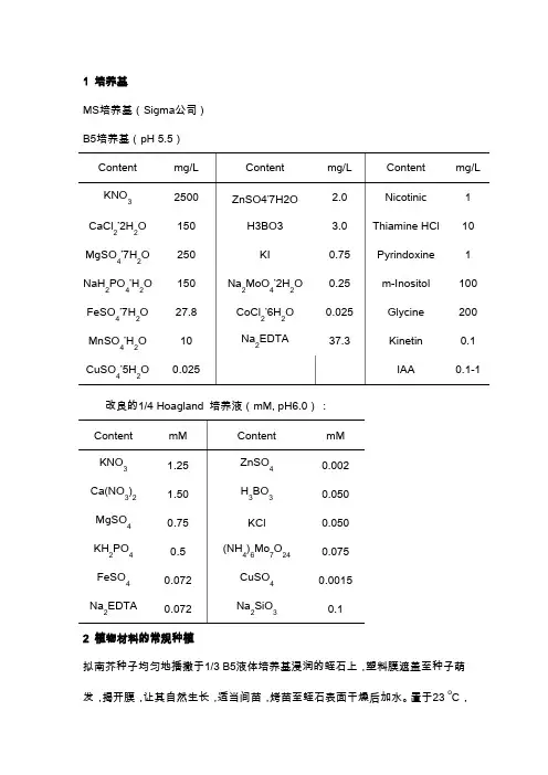 拟南芥种植及处理基本方法