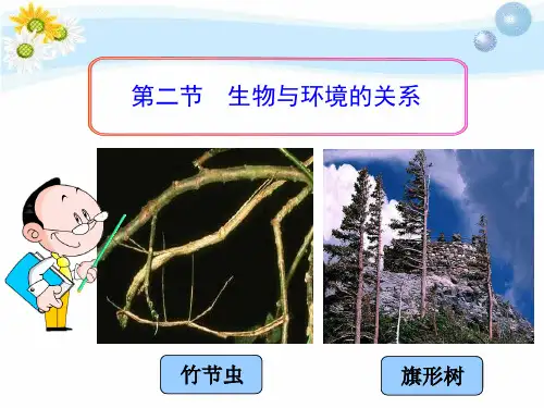 苏教版初中初一七年级上册生物：第一单元第一章第二节   生物与环境的关系