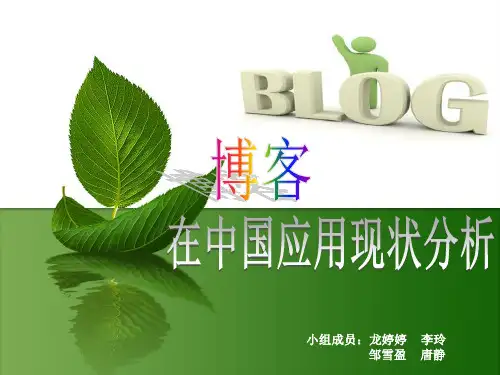 博客在中国应用现状分析