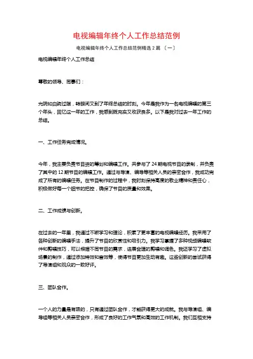 电视编辑年终个人工作总结范例篇