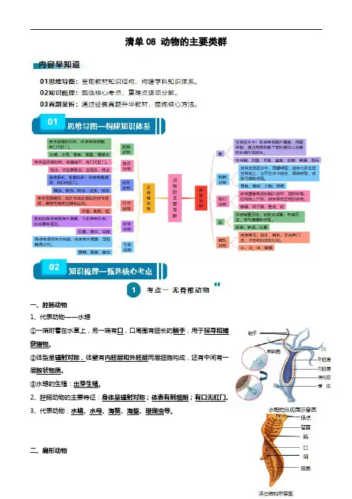 中考生物复习基础知识清单(全国)清单08 动物的主要类群