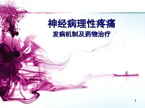 神经病理性疼痛的机制及药物治疗ppt课件