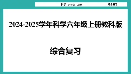 教科版2024-2025学年科学六年级上册综合复习练习课件(共58张PPT).ppt