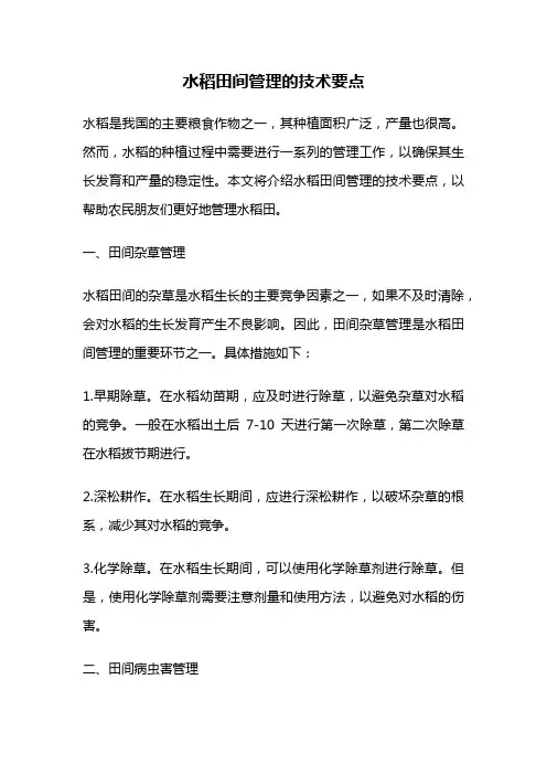 水稻田间管理的技术要点