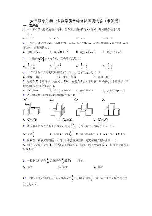 六年级小升初毕业数学质量综合试题测试卷(带答案)