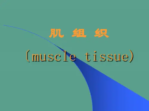 《组织胚胎学》ppt课件
