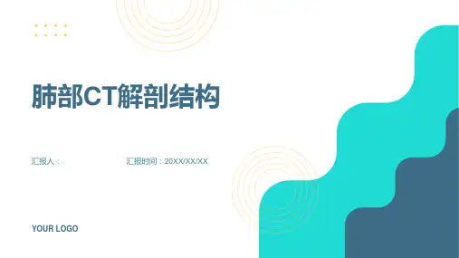肺部CT解剖结构