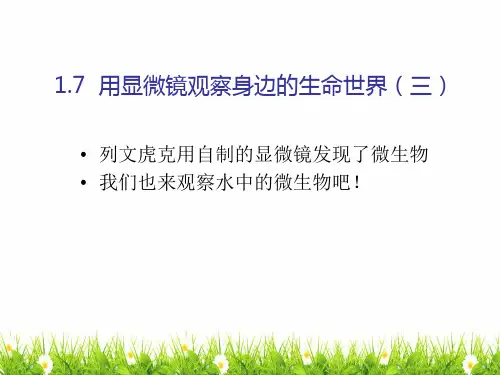 最新教科版小学科学六年级下册《用显微镜观察身边的生命世界(三)》精品教学课件