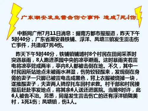 物理人教版九年级全册第三节安全用电(3)精品PPT课件