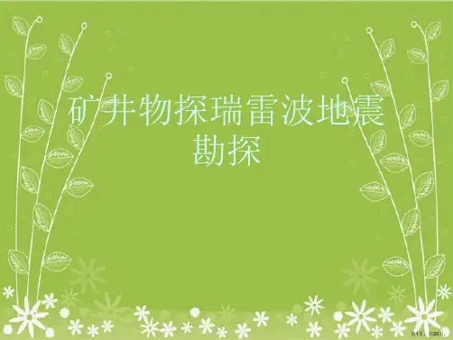 矿井物探瑞雷波地震勘探