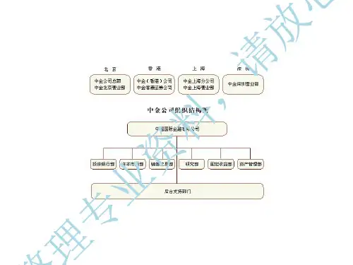第三章投资银行的组织结构09