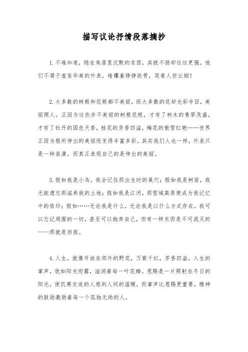 描写议论抒情段落摘抄