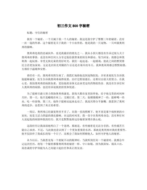 初三作文800字秘密
