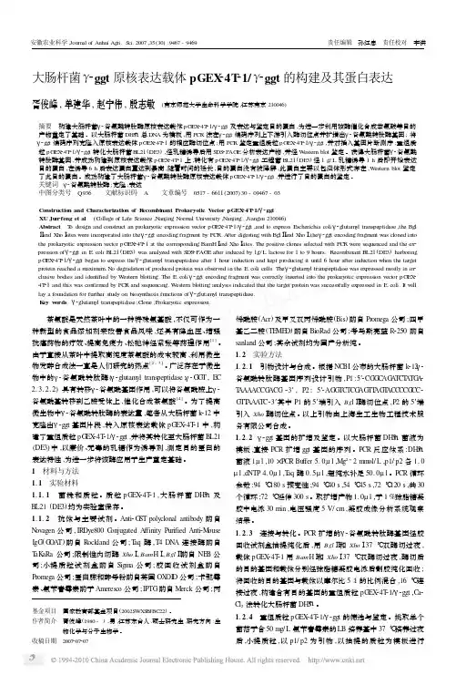 大肠杆菌_ggt原核表达载体pGEX_4T_1_ggt的构建及其蛋白表达
