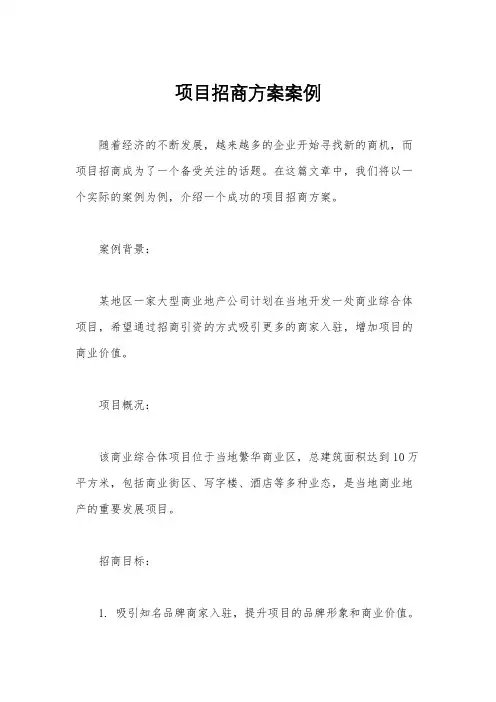 项目招商方案案例