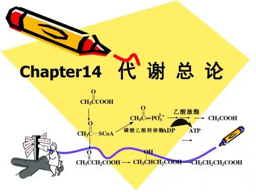 BiochemistryB12代谢总论
