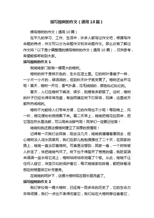 描写榕树的作文（通用10篇）
