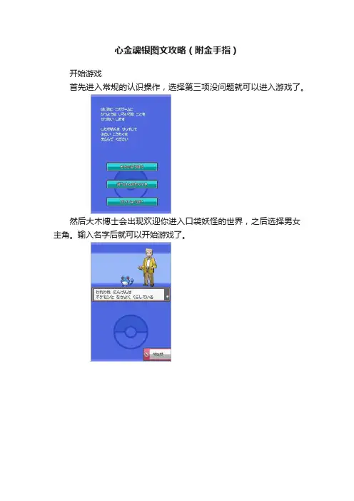心金魂银图文攻略（附金手指）