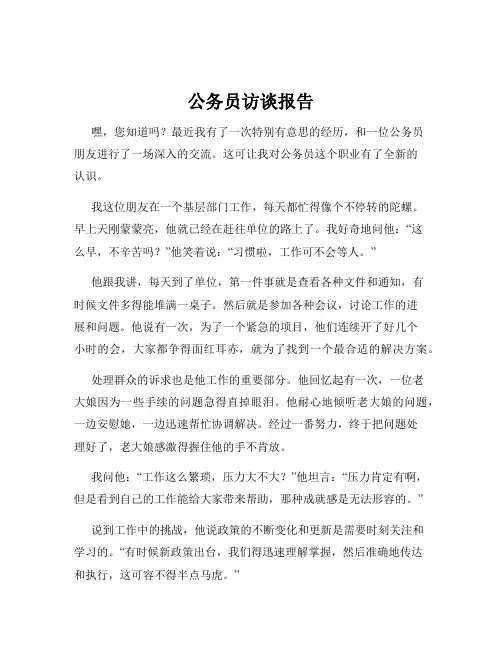 公务员访谈报告
