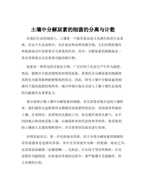 土壤中分解尿素的细菌的分离与计数