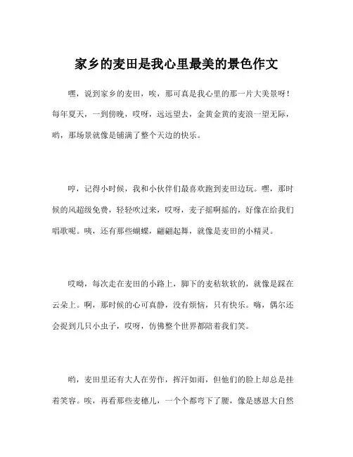 家乡的麦田是我心里最美的景色作文