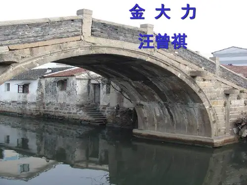 金大力课件