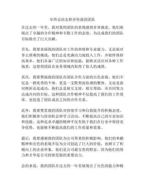 年终总结怎样评价我的团队
