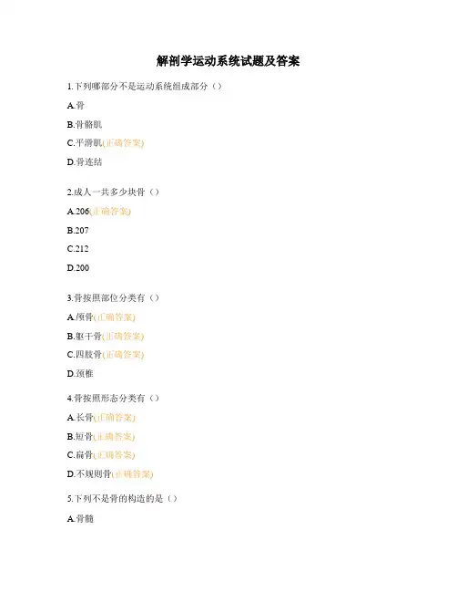 解剖学运动系统试题及答案