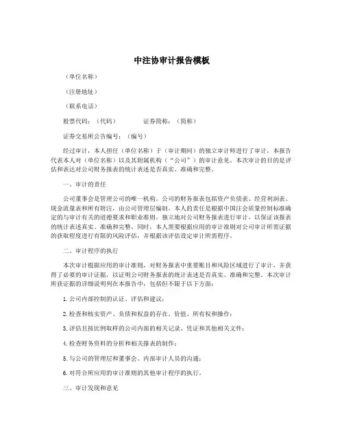 中注协审计报告模板