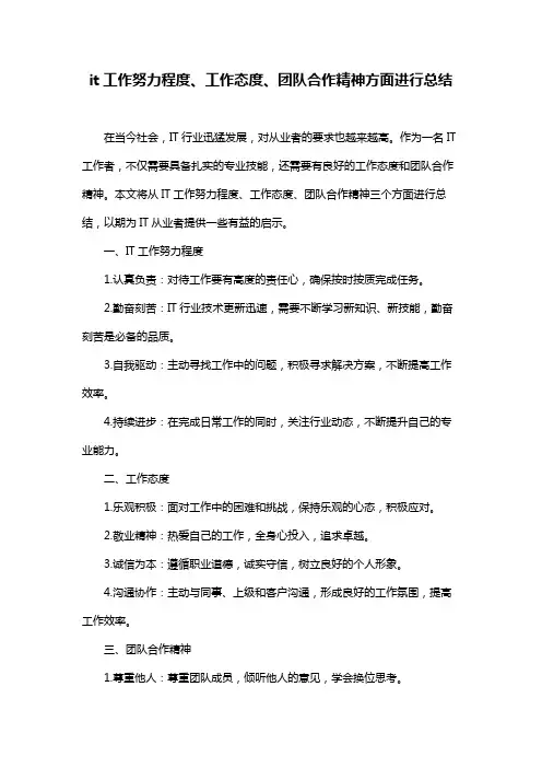 it工作努力程度、工作态度、团队合作精神方面进行总结