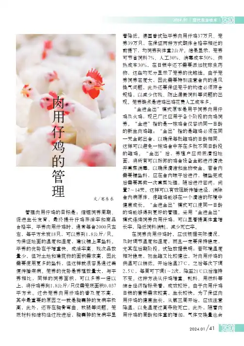 肉用仔鸡的管理