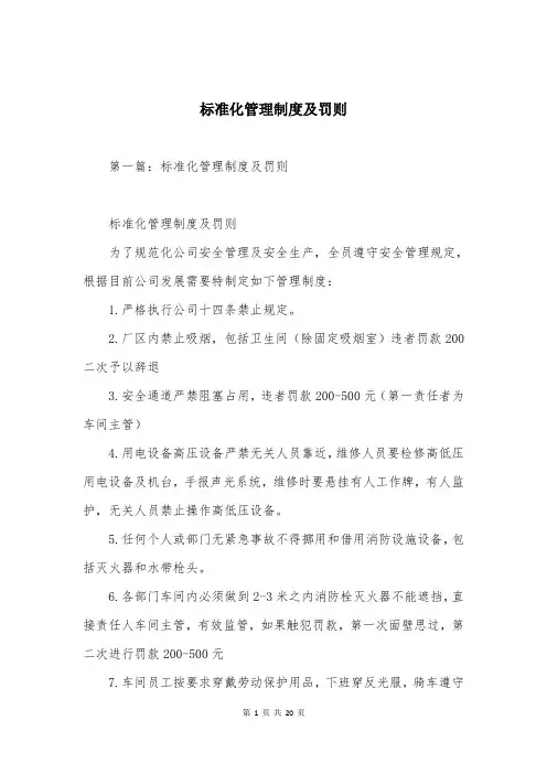 标准化管理制度及罚则