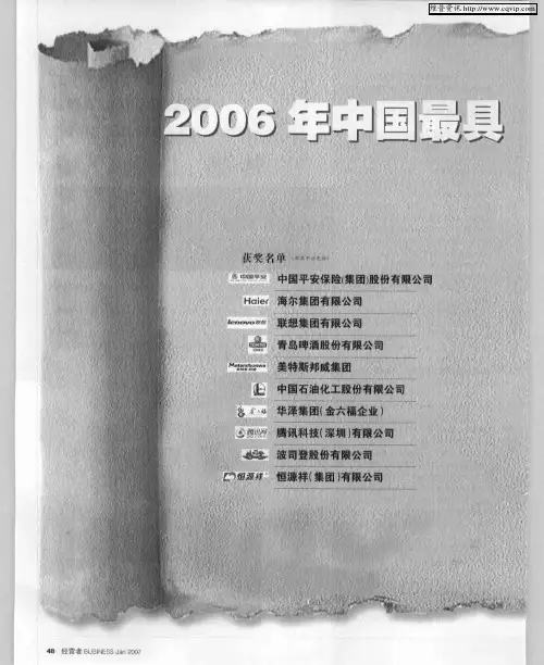 2006年中国最具品牌影响力企业——品牌影响价值