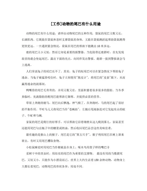 [工作]动物的尾巴有什么用途