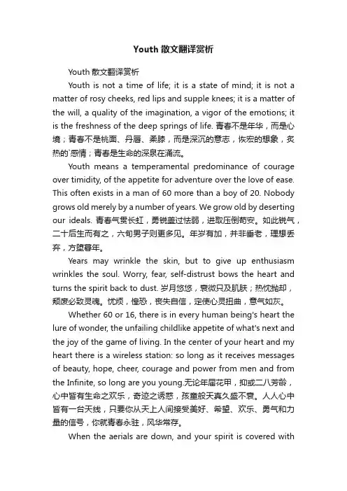 Youth散文翻译赏析