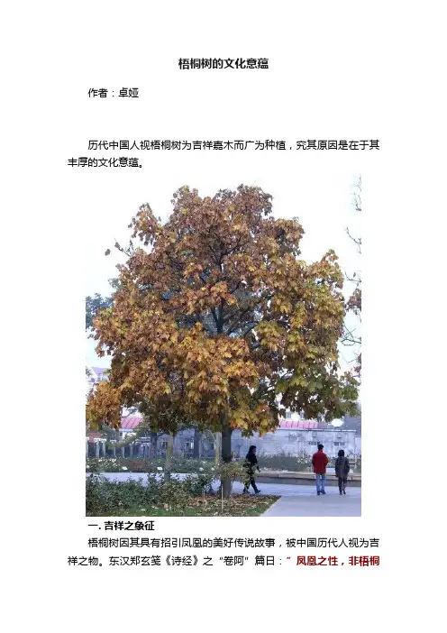 梧桐树的文化意蕴