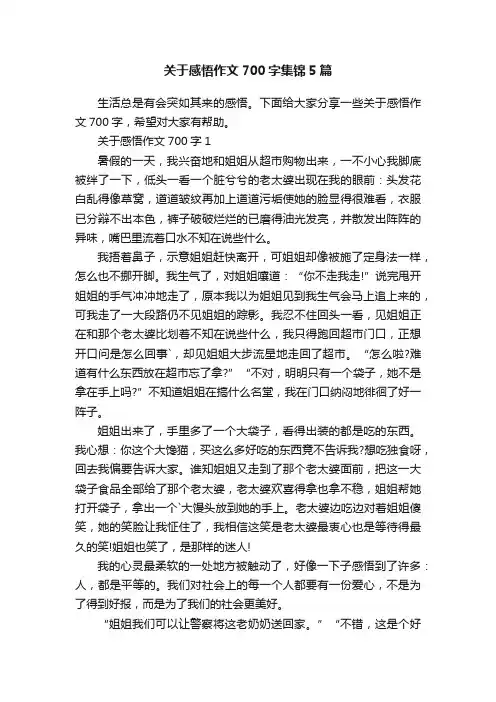 关于感悟作文700字集锦5篇
