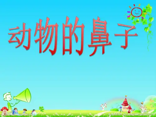 动物的鼻子 幼儿园课件