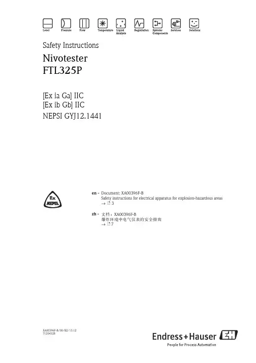 Endress+Hauser Nivotester FTL325P 安全指南说明书
