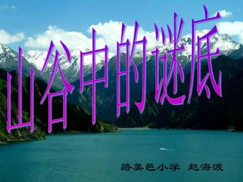 山谷中的谜底