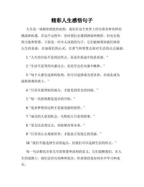 精彩人生感悟句子