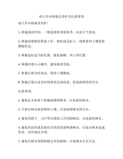 高大乔木移栽及养护及注意事项