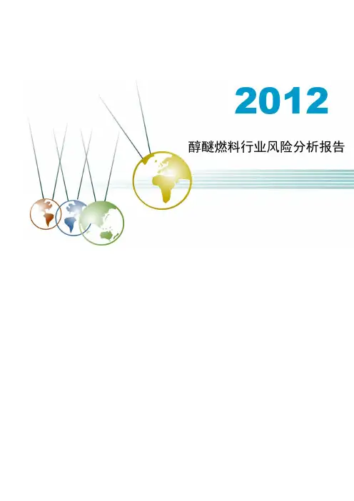 2012年醇醚燃料行业风险分析报告