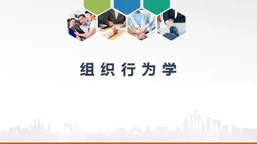 组织行为学(第二版)第六章人际交往
