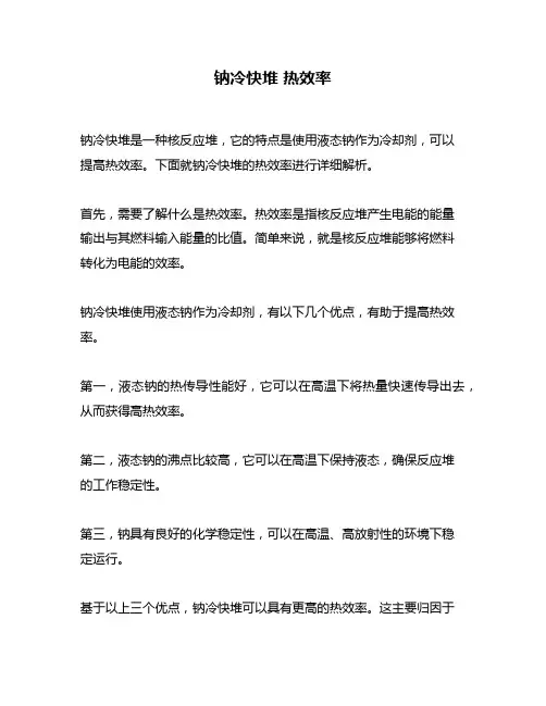 钠冷快堆 热效率