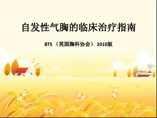 自发性气胸的临床治疗指南