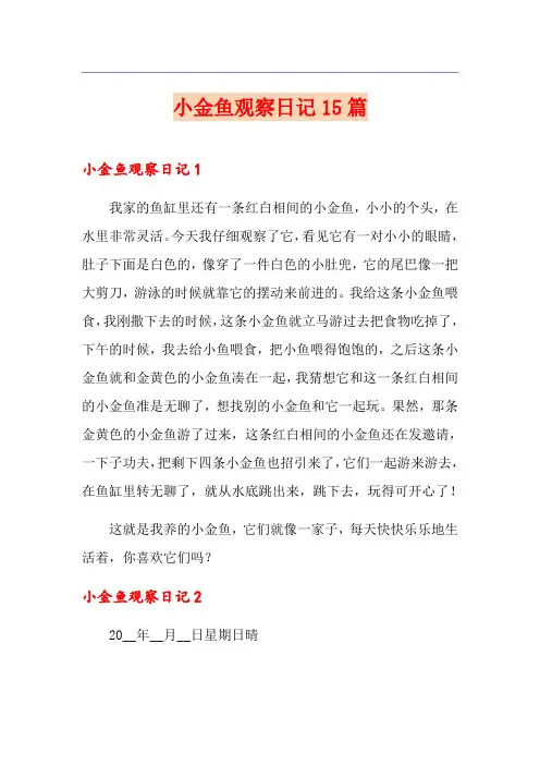 小金鱼观察日记15篇
