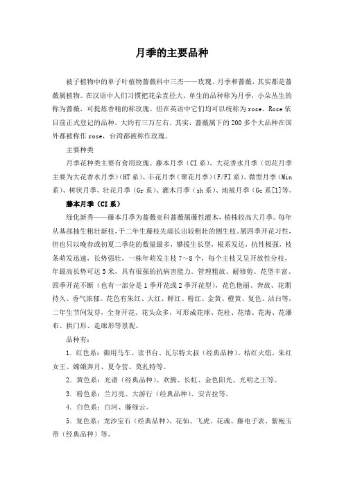 月季的主要品种